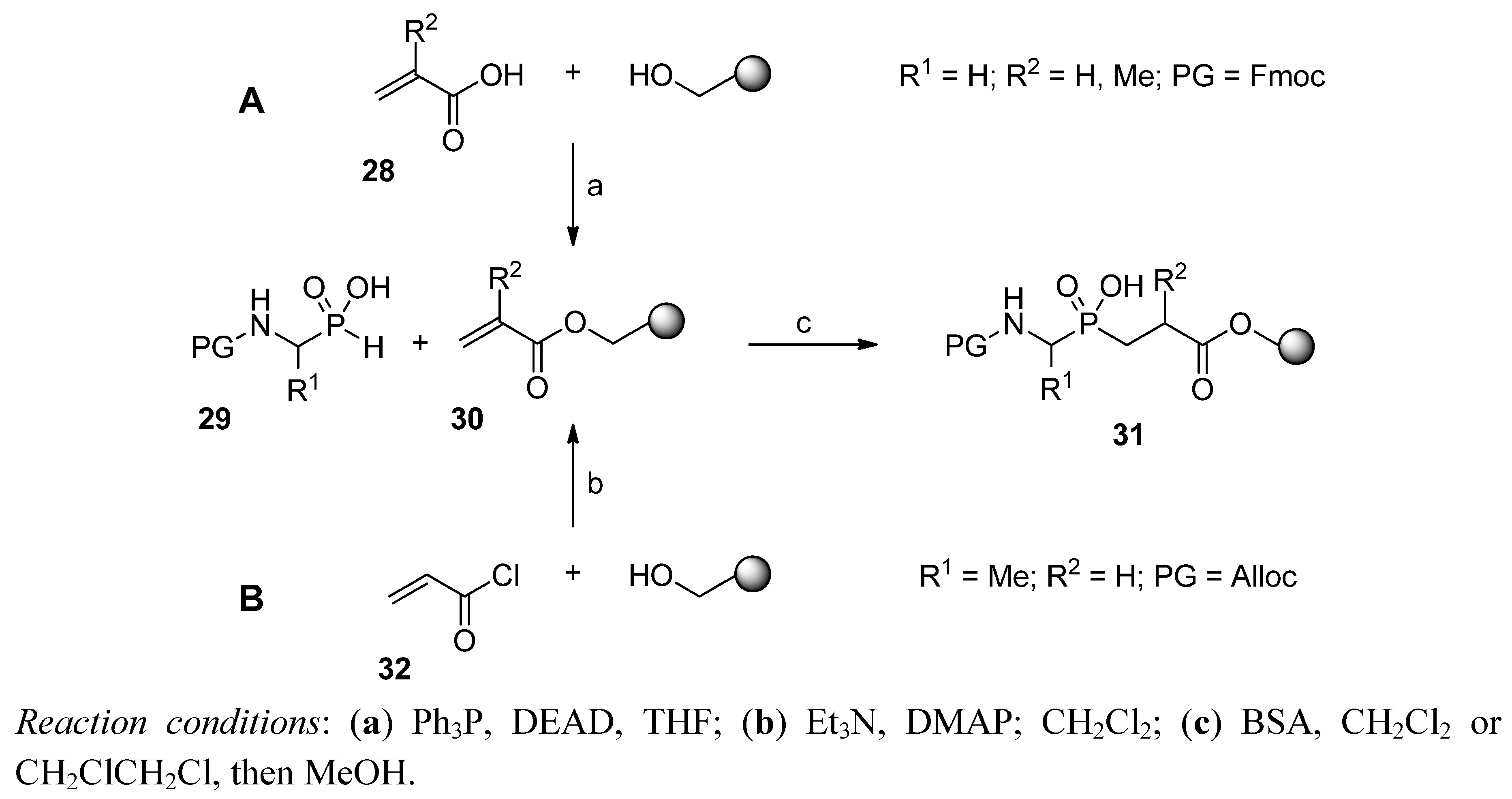 Molecules 17 13530 g007