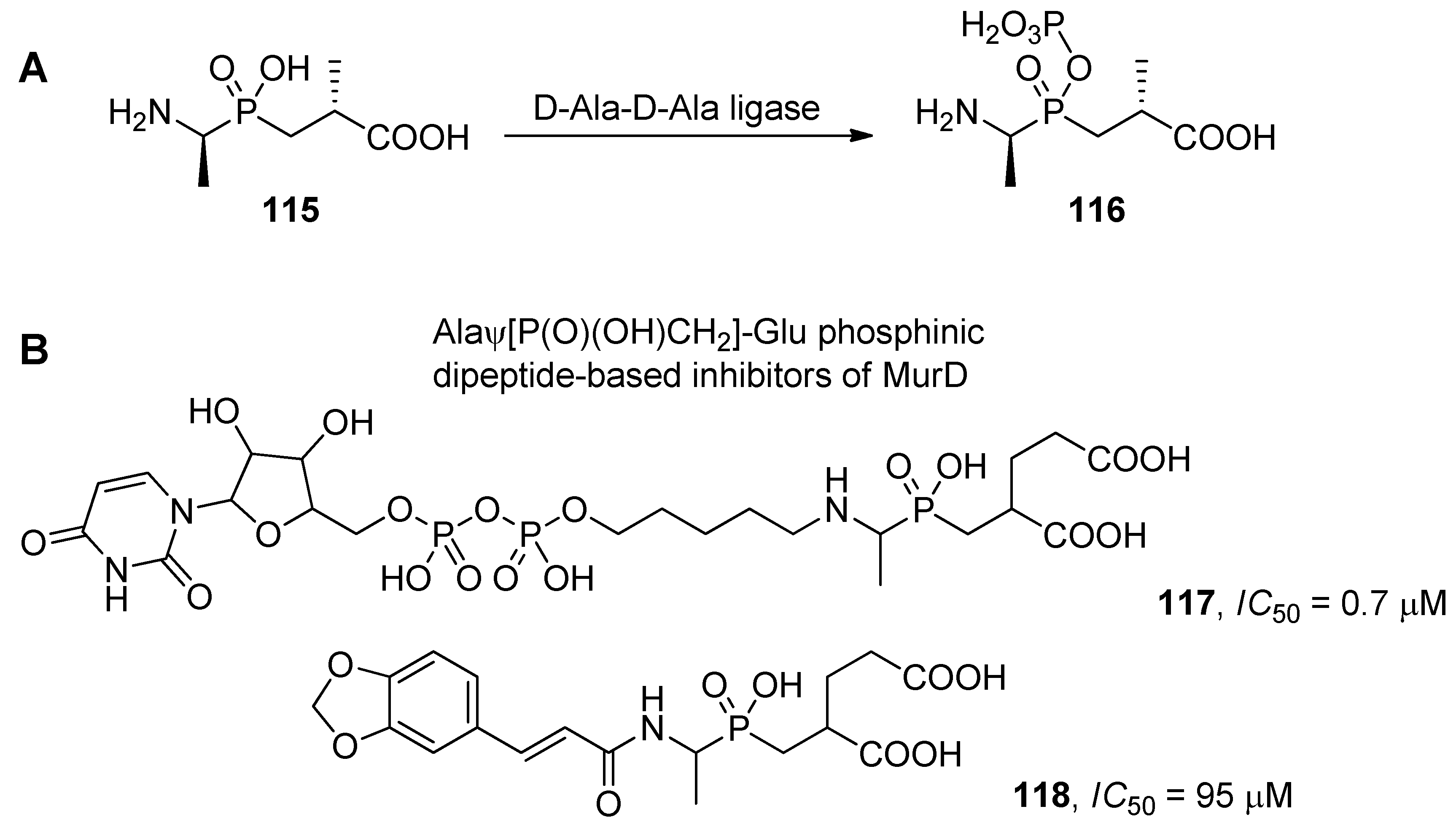 Molecules 17 13530 g039