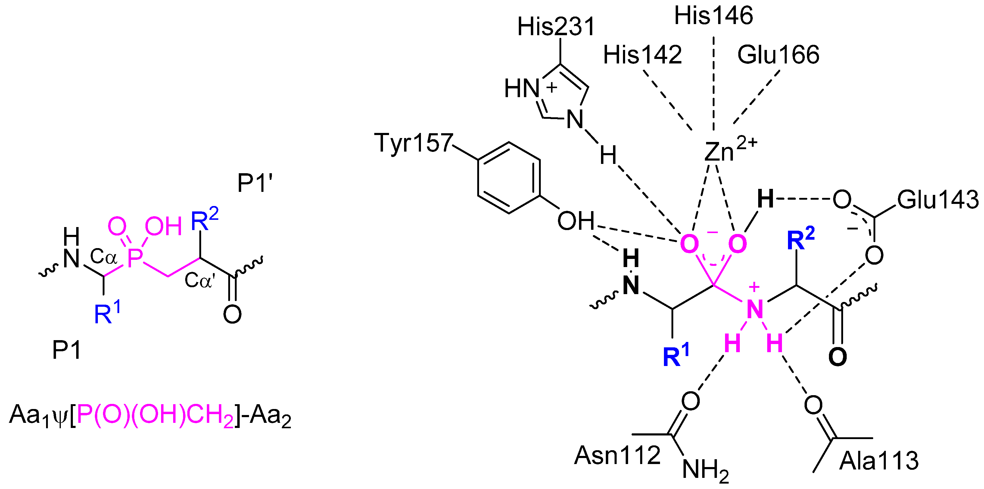 Molecules 17 13530 g040