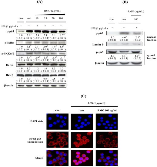 Molecules 17 13769 g004 550
