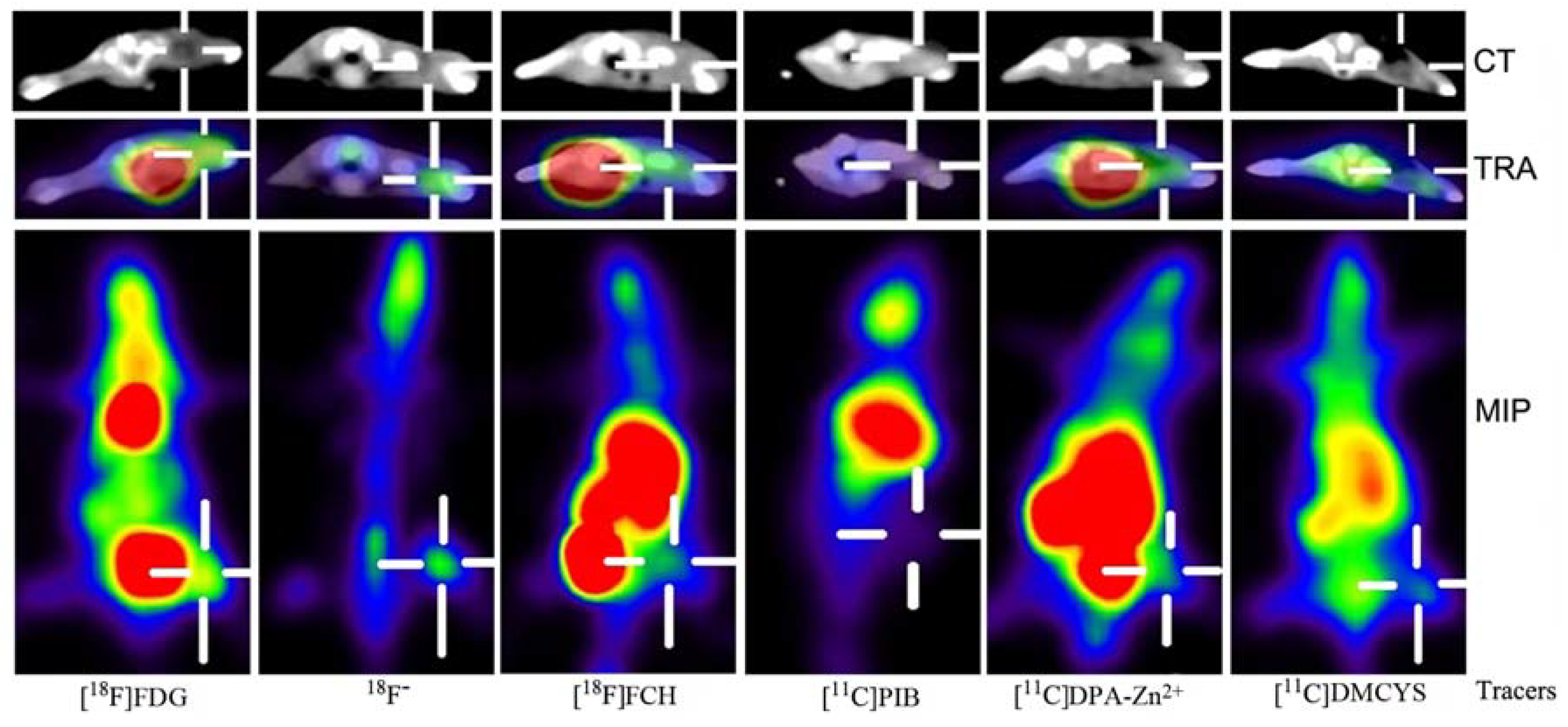 Molecules 17 13948 g001