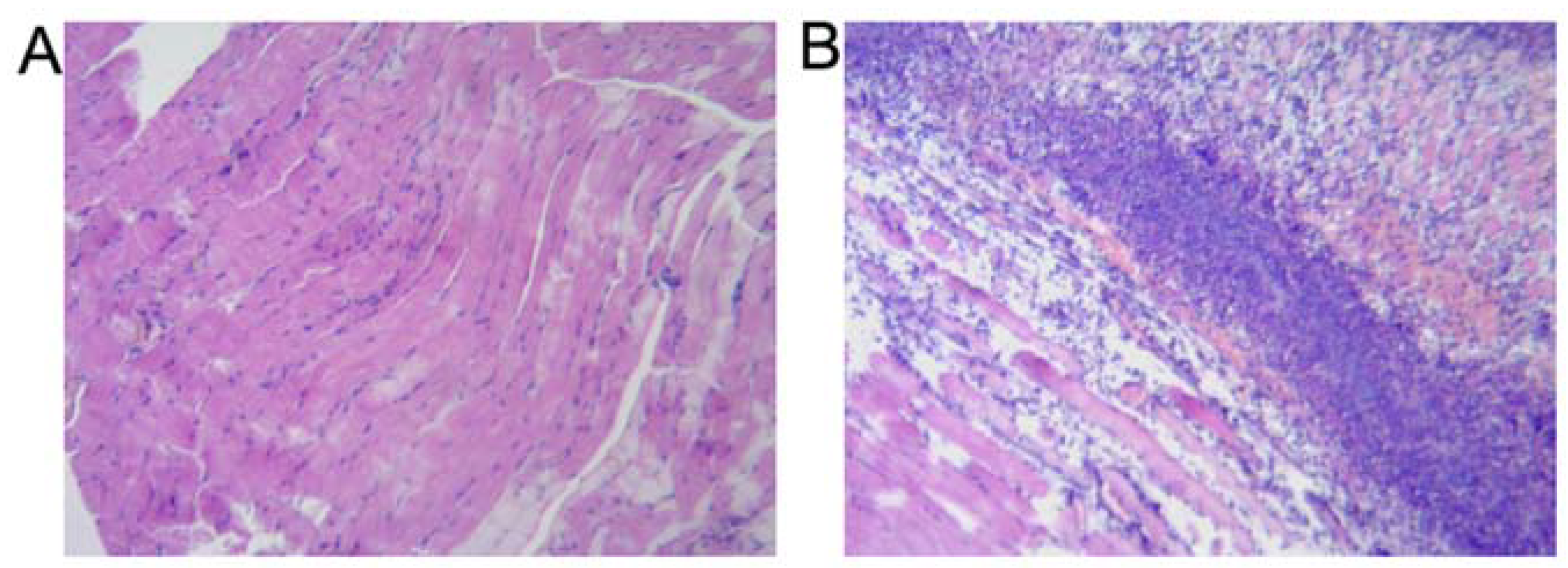 Molecules 17 13948 g003