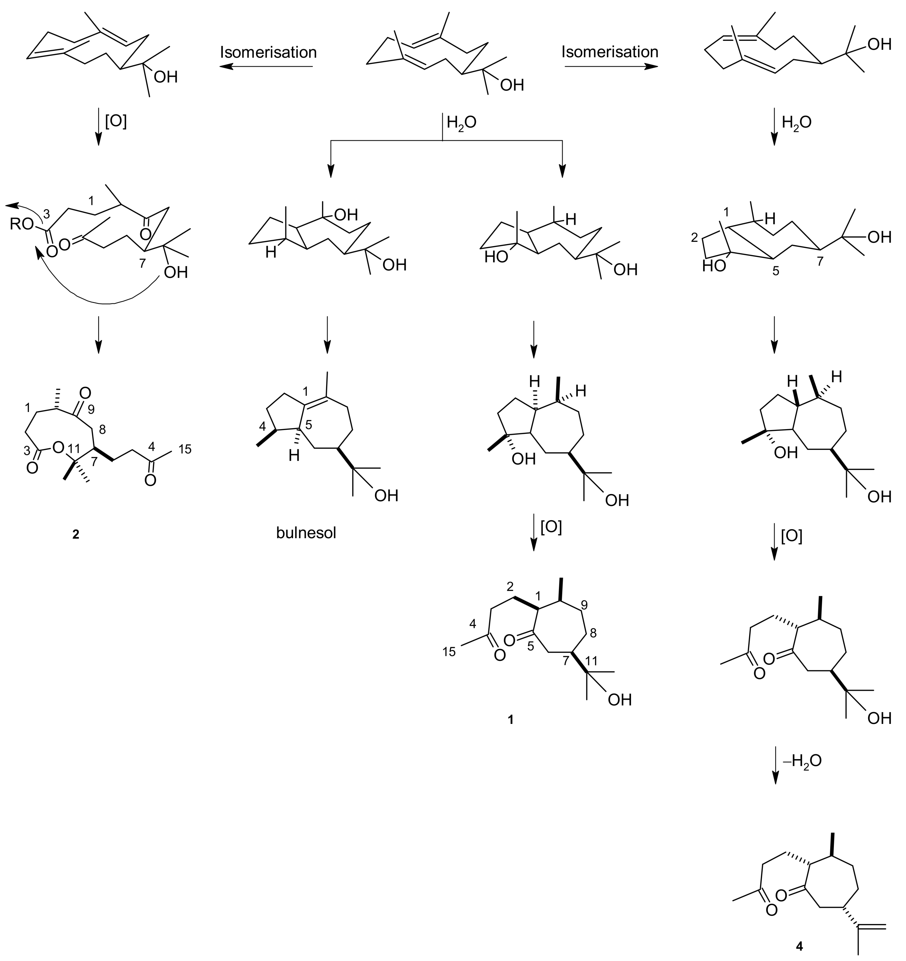 Molecules 17 14046 sch001