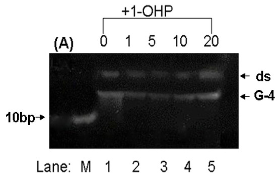 Molecules 17 14159 g007 550