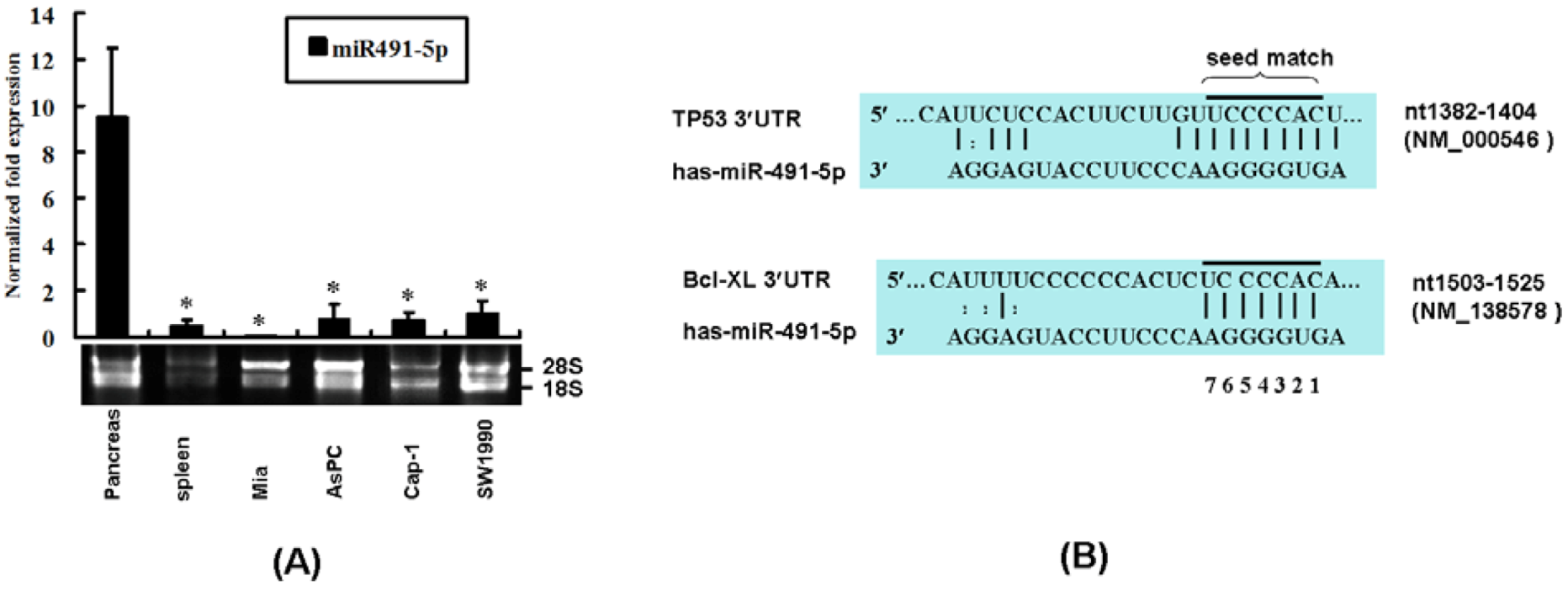Molecules 17 14733 g001