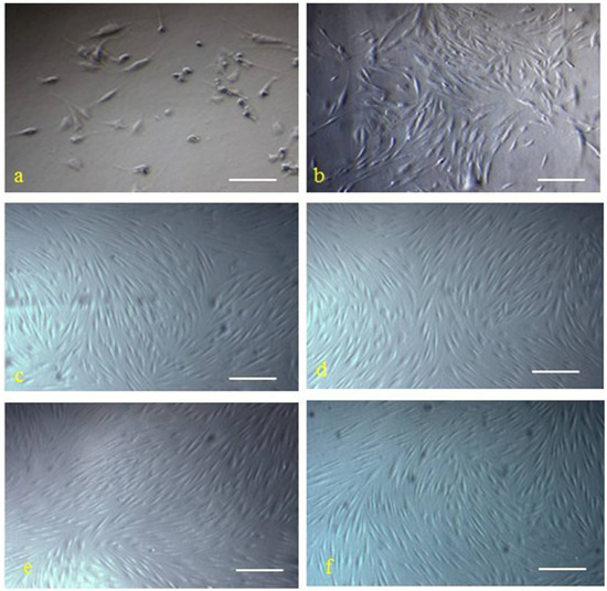 Molecules 17 14975 g001 550