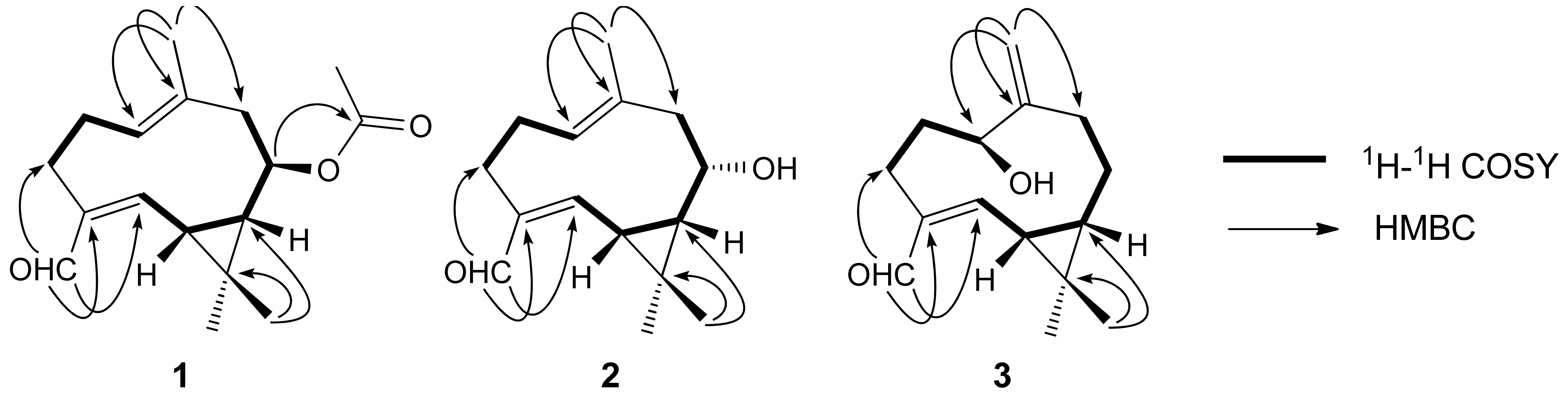 Molecules 17 15013 g001
