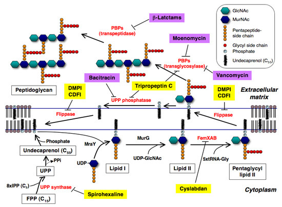 Molecules 18 00204 g001 550