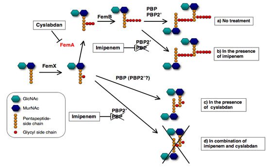 Molecules 18 00204 g009 550