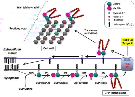 Molecules 18 00204 g010 550