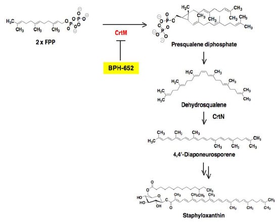 Molecules 18 00204 g012 550