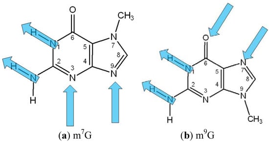 Molecules 18 00225 g001 550