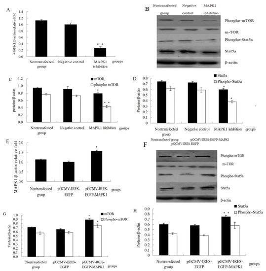Molecules 18 00263 g003 550