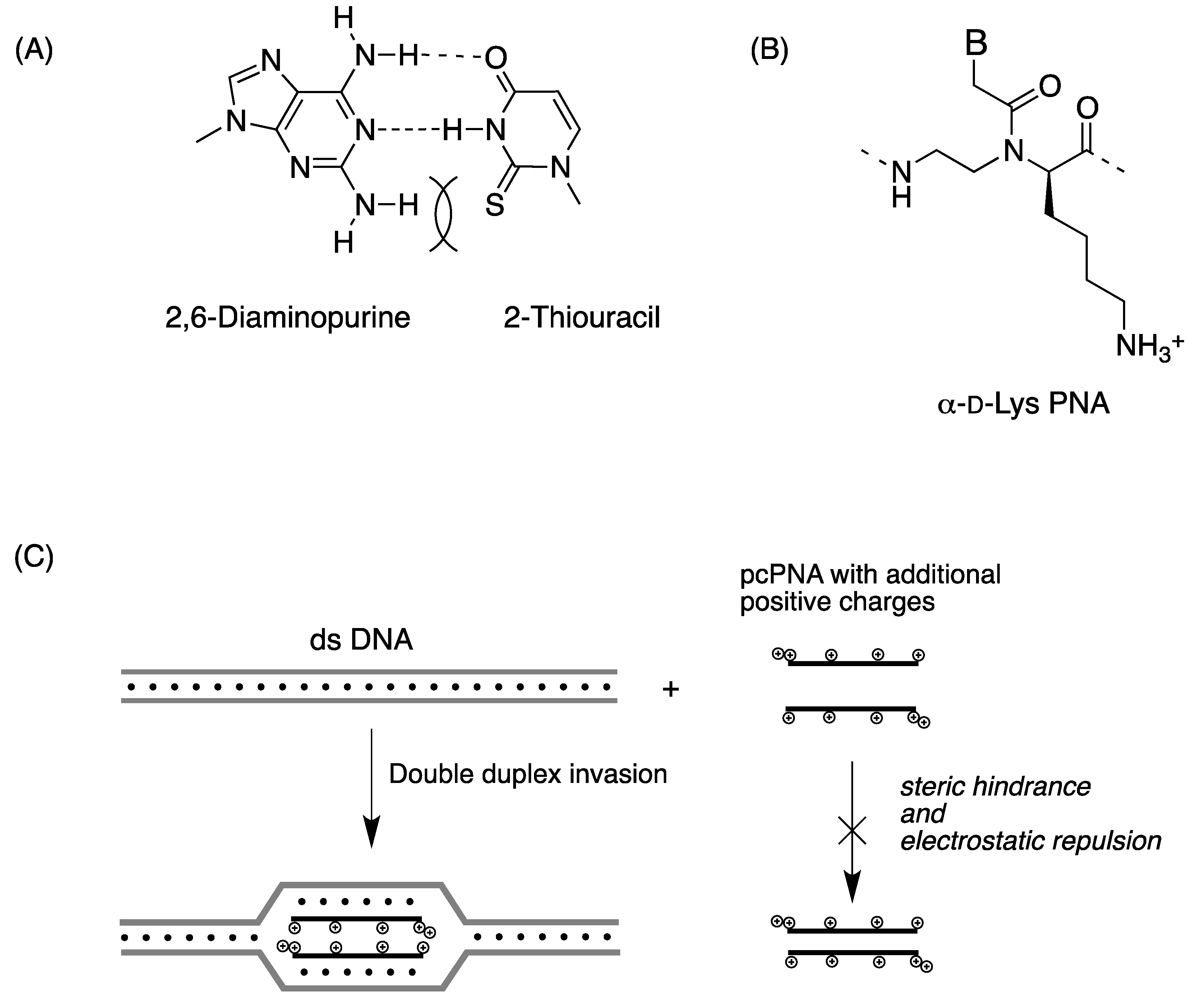 Molecules 18 00287 g005