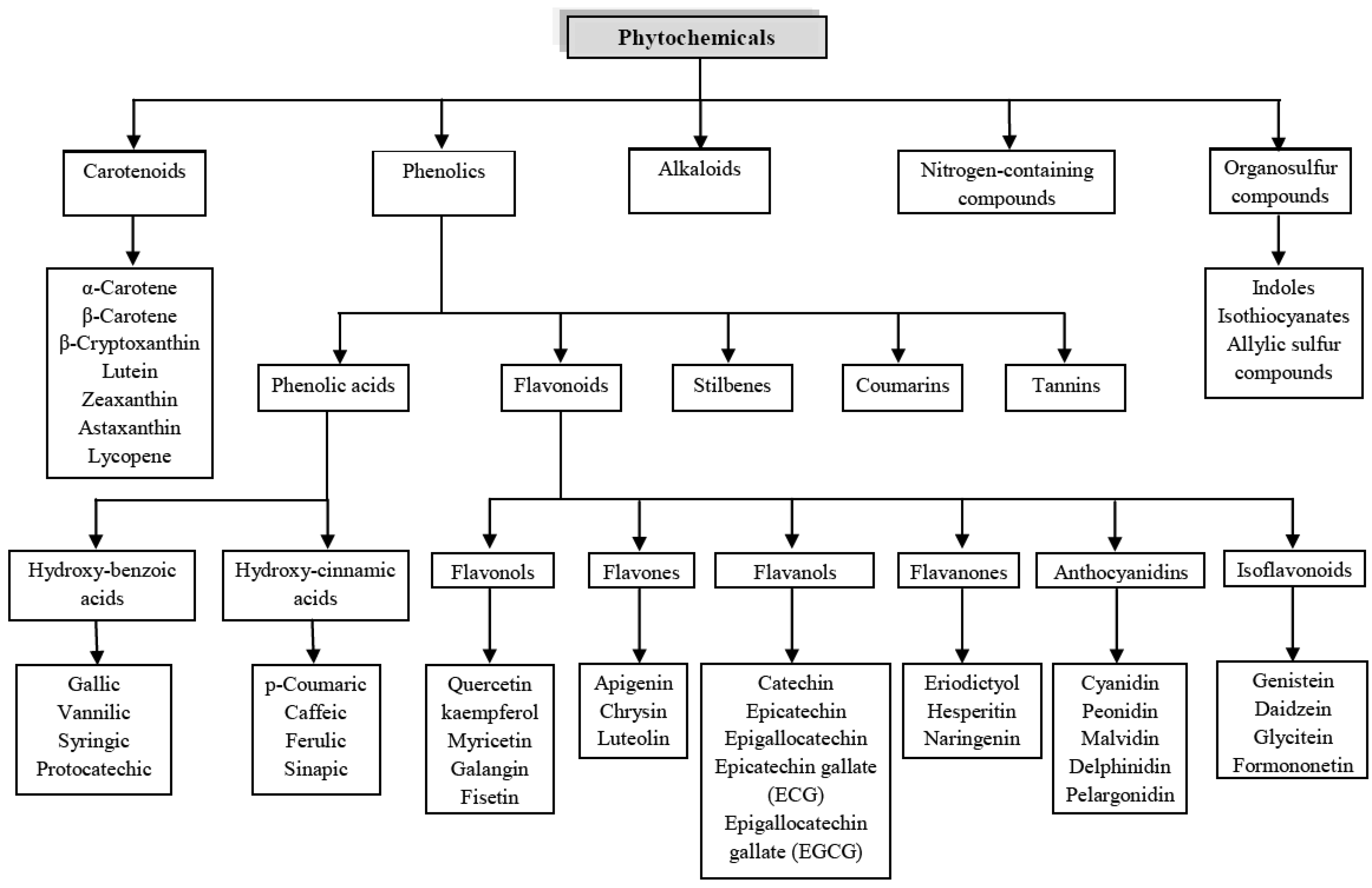 Molecules 18 00322 g001