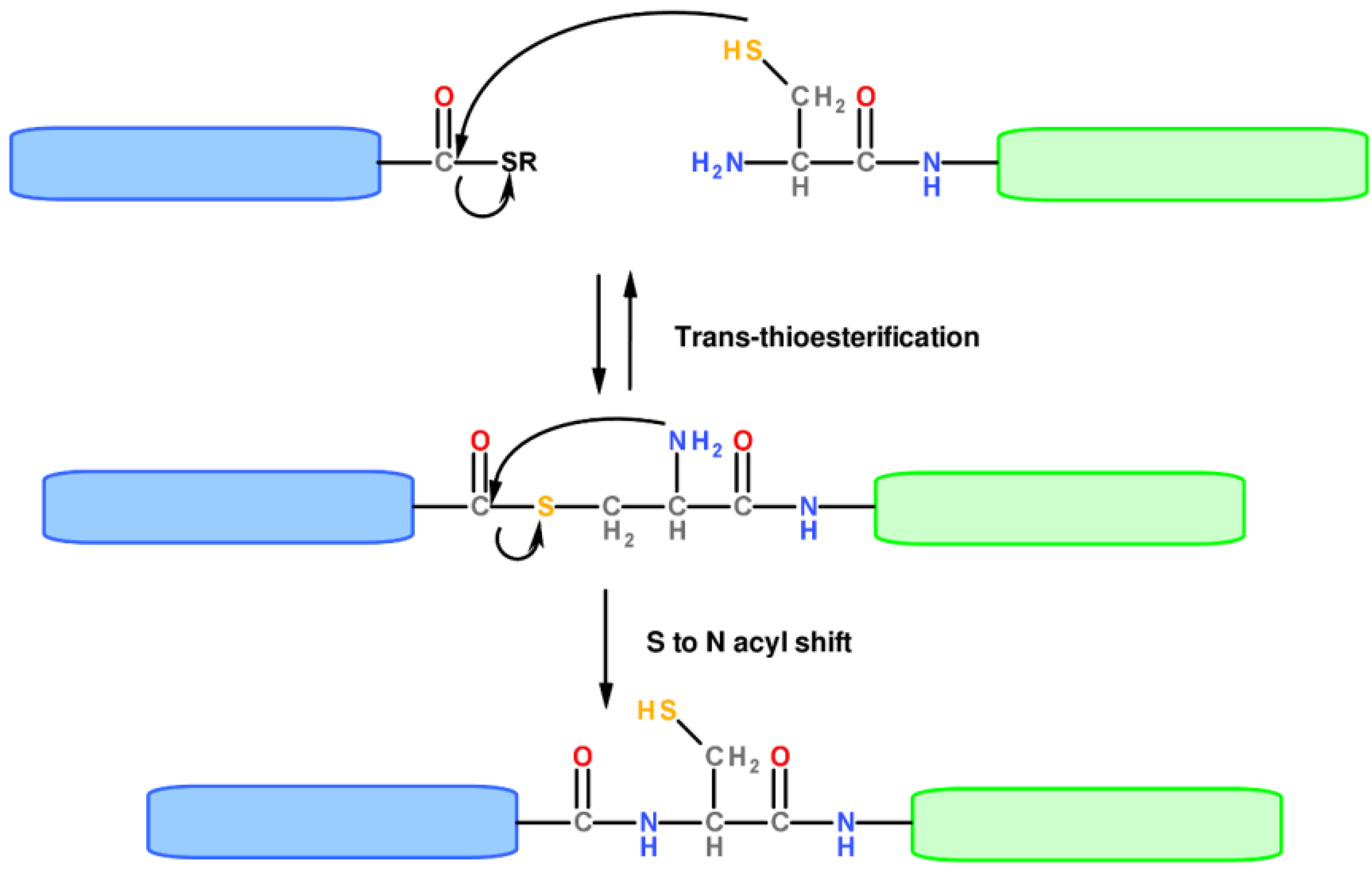 Molecules 18 00440 g003