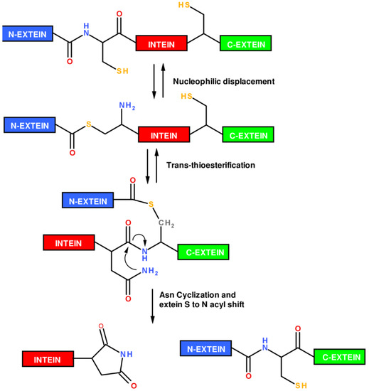 Molecules 18 00440 g004 550