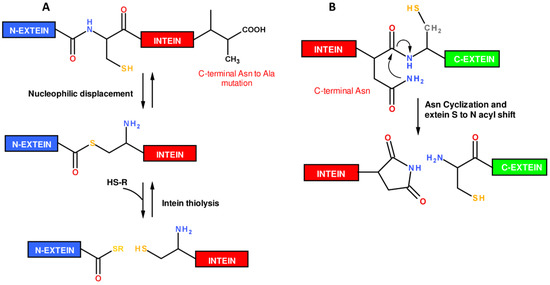 Molecules 18 00440 g005 550
