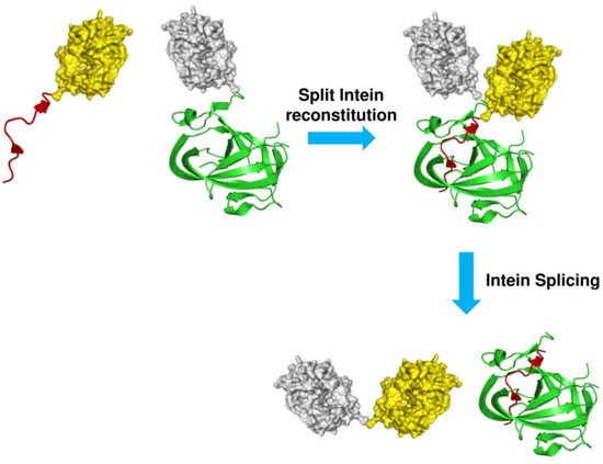 Molecules 18 00440 g006 550