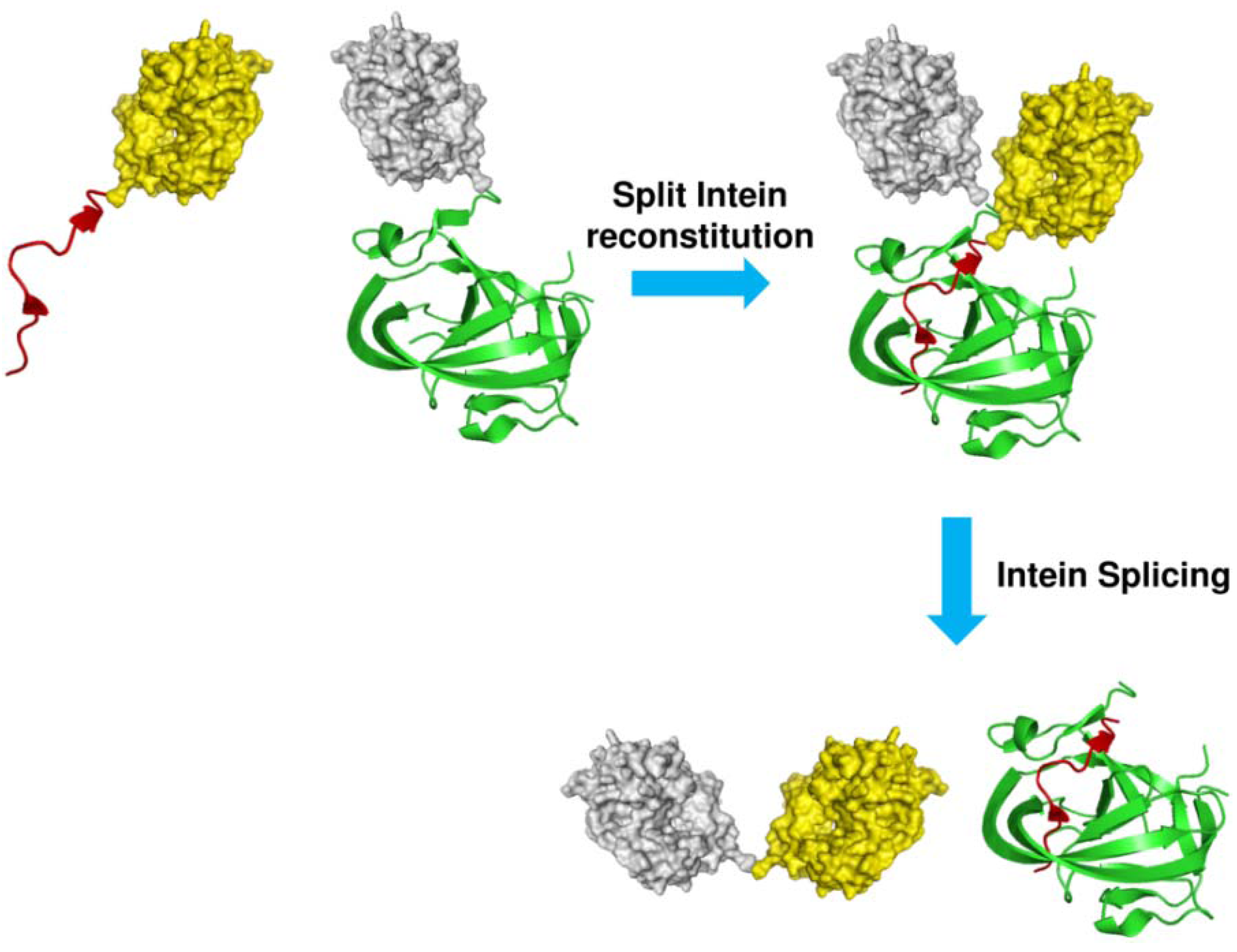 Molecules 18 00440 g006