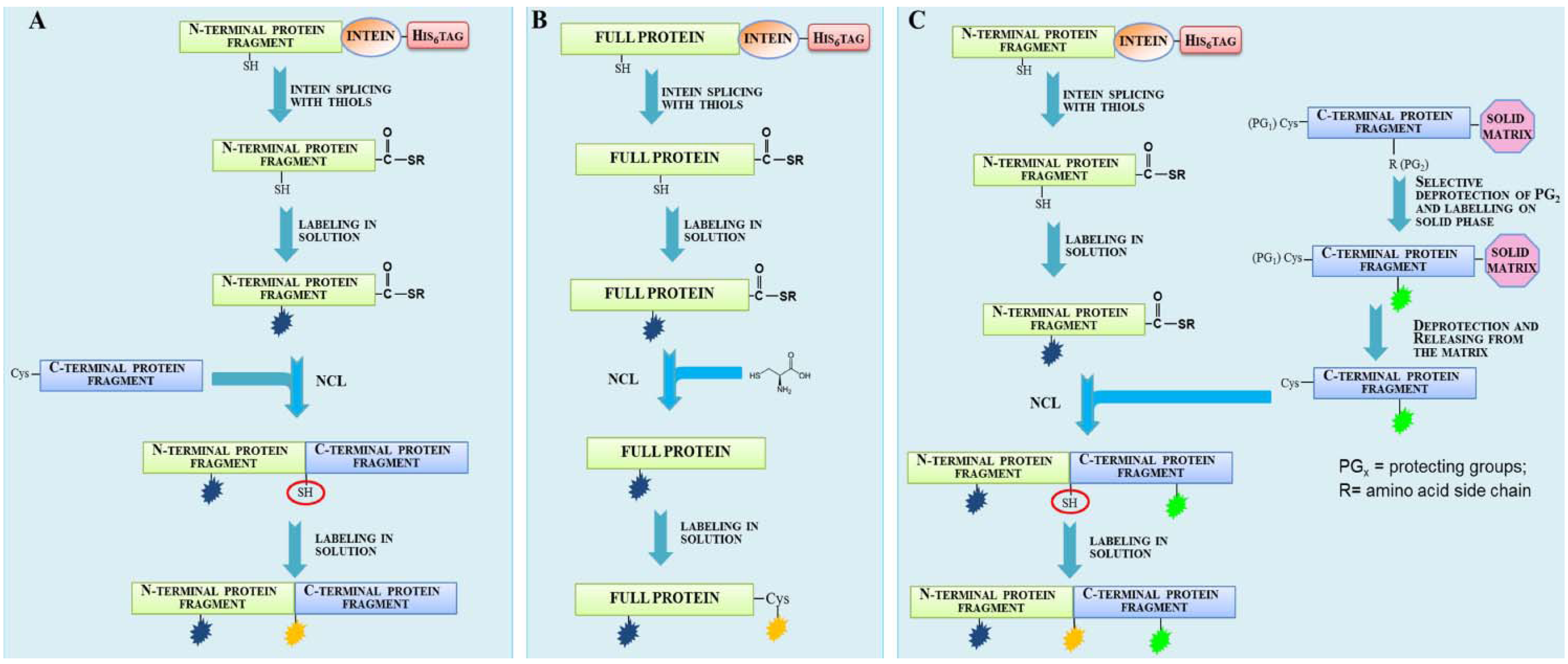 Molecules 18 00440 g007