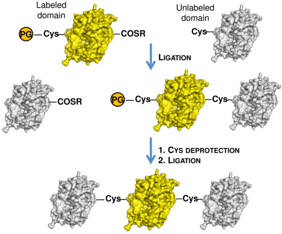 Molecules 18 00440 g008 550