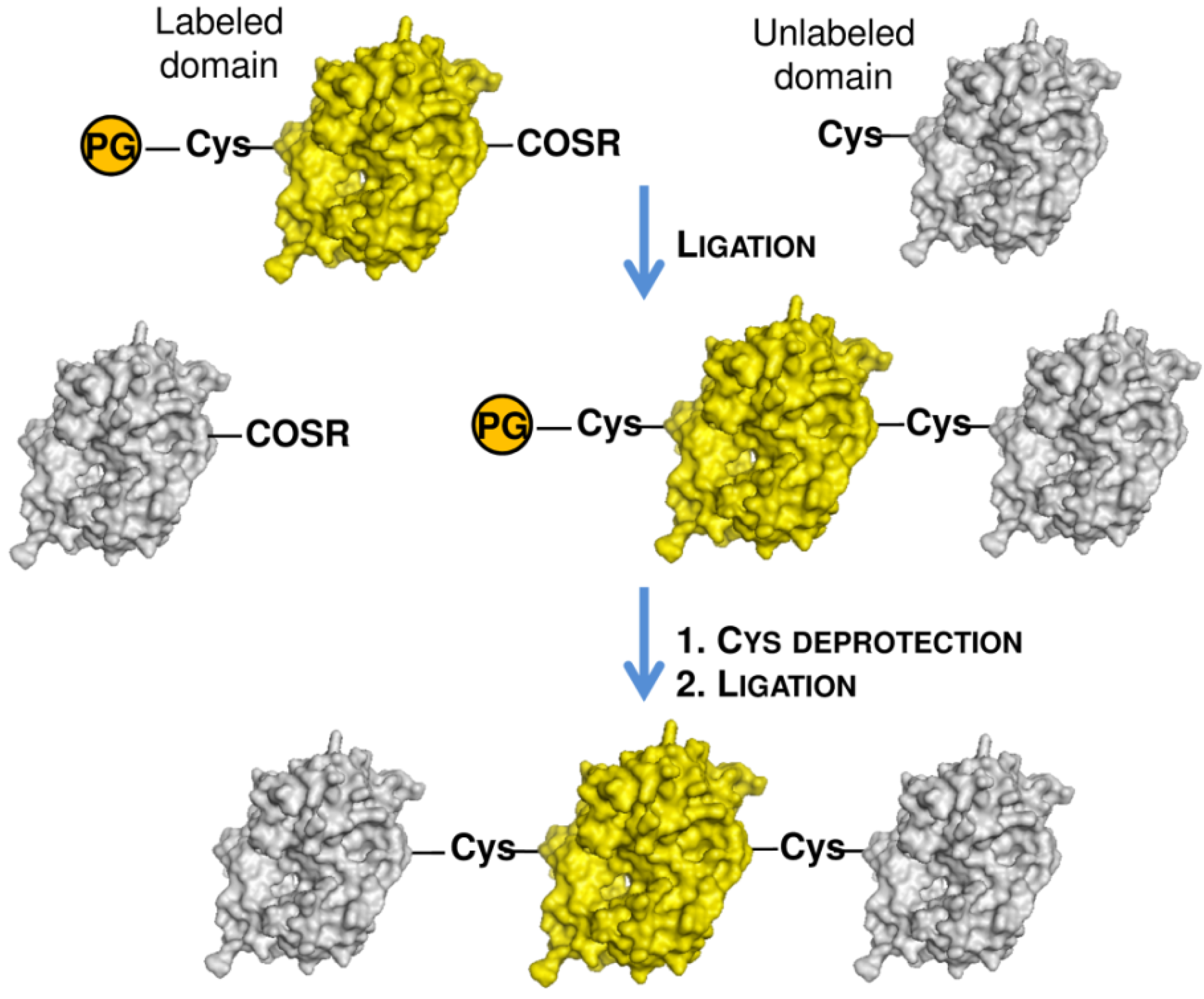 Molecules 18 00440 g008