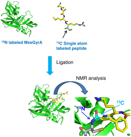 Molecules 18 00440 g009 550