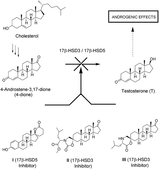 Molecules 18 00914 g001 550