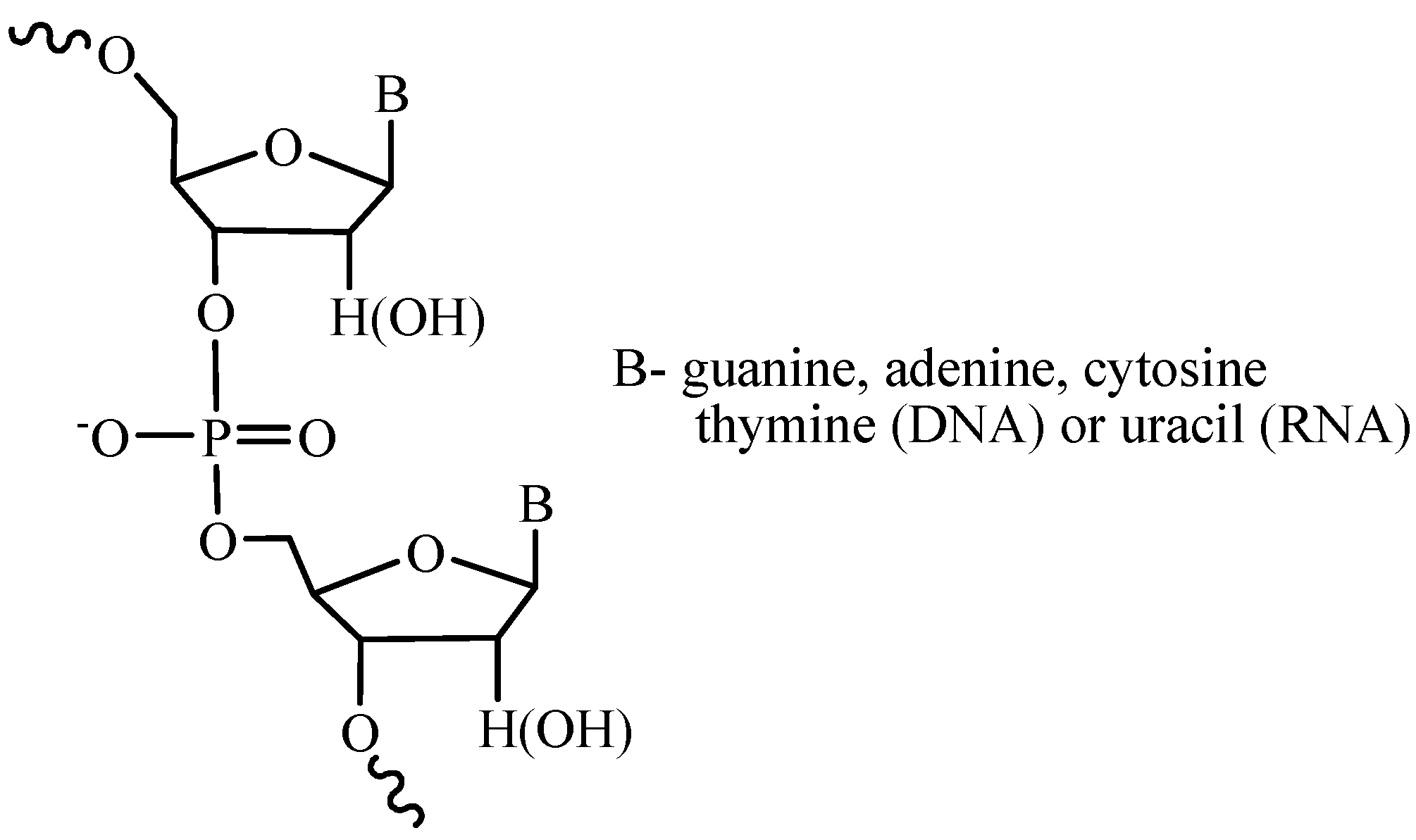 Molecules 18 01063 g001 Molecules 18 01063 g001