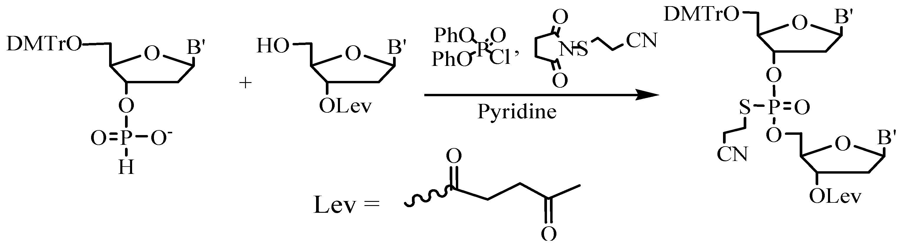 Molecules 18 01063 g009 Molecules 18 01063 g009