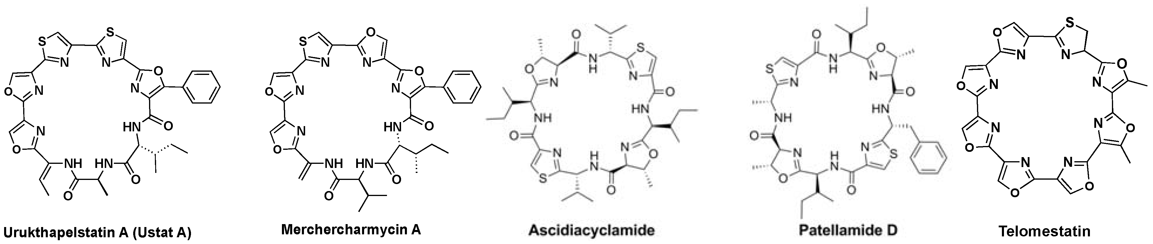 Molecules 18 01111 g001