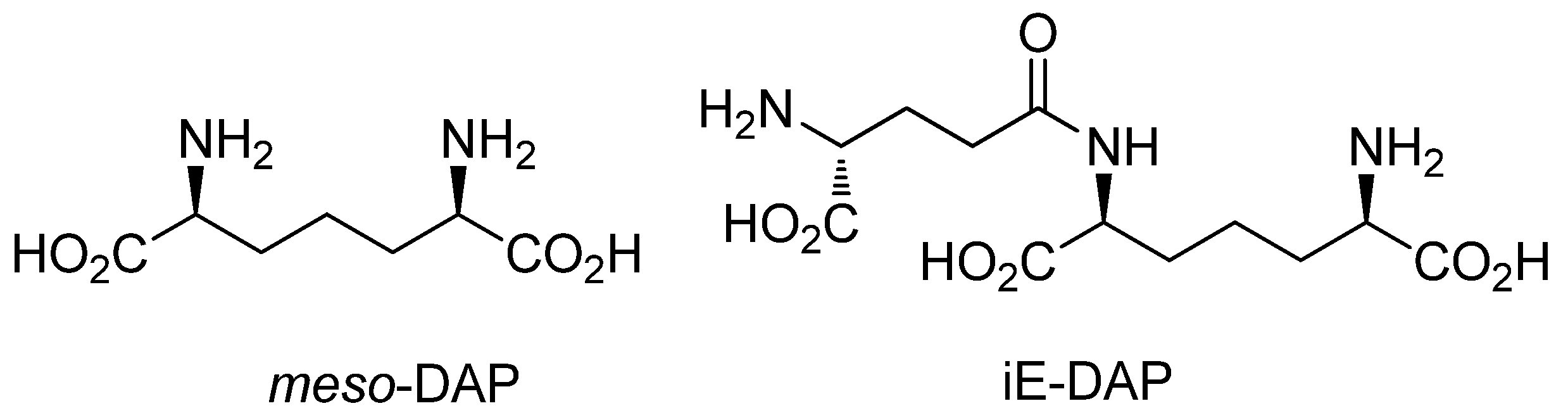 Molecules 18 01162 g001