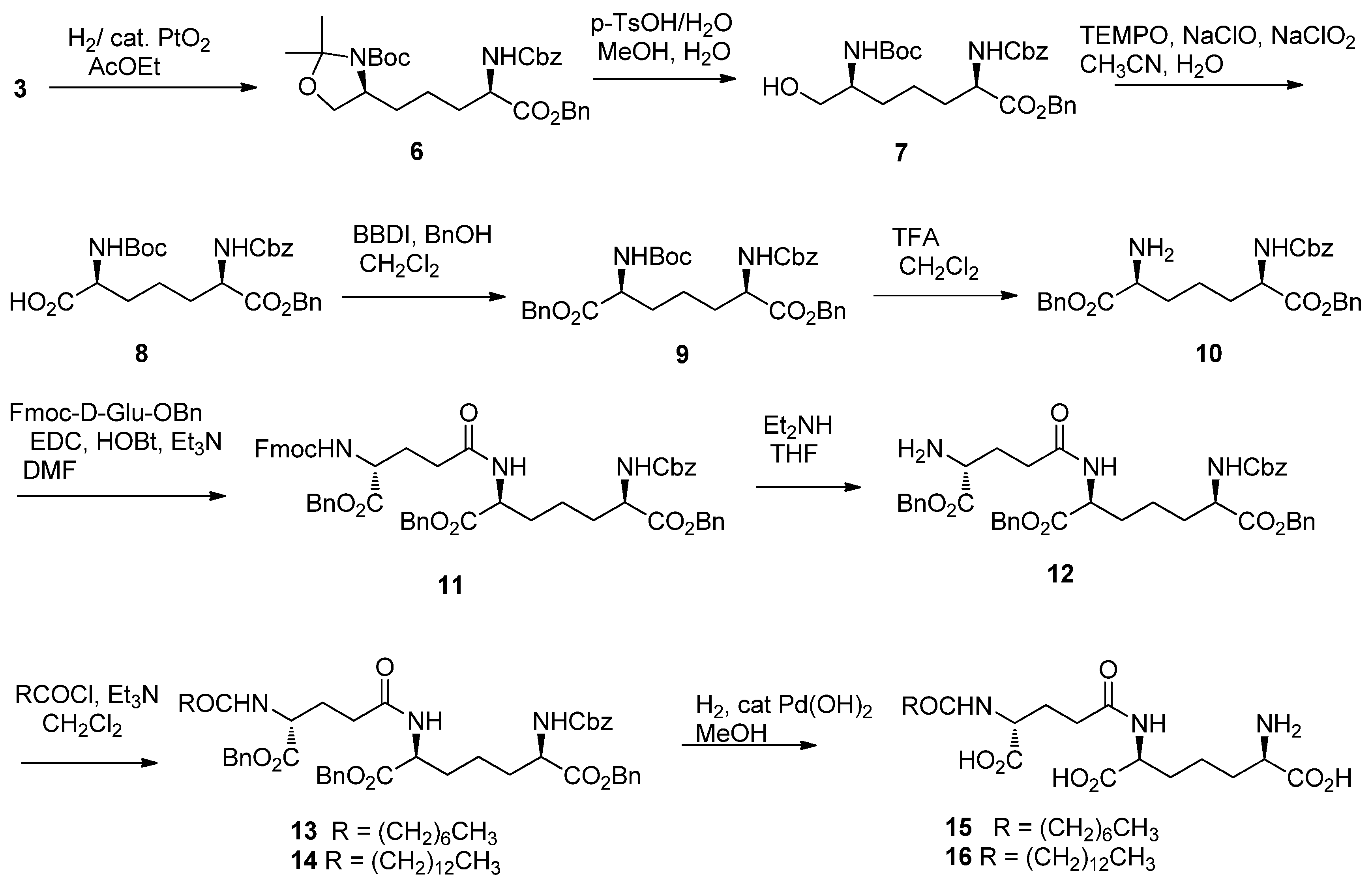 Molecules 18 01162 sch002