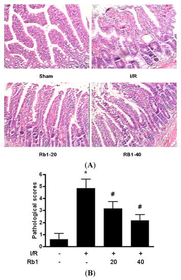 Molecules 18 01214 g002 550