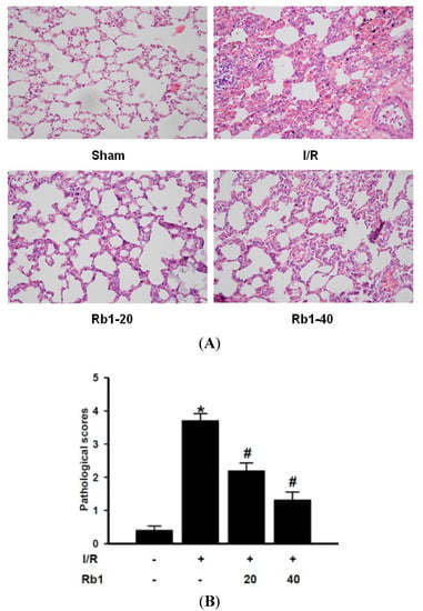 Molecules 18 01214 g003 550