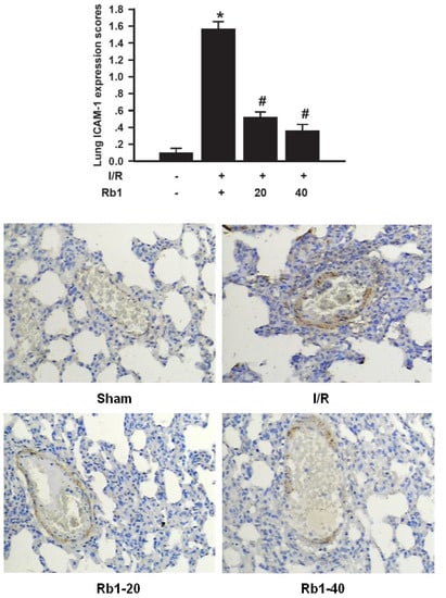 Molecules 18 01214 g008 550