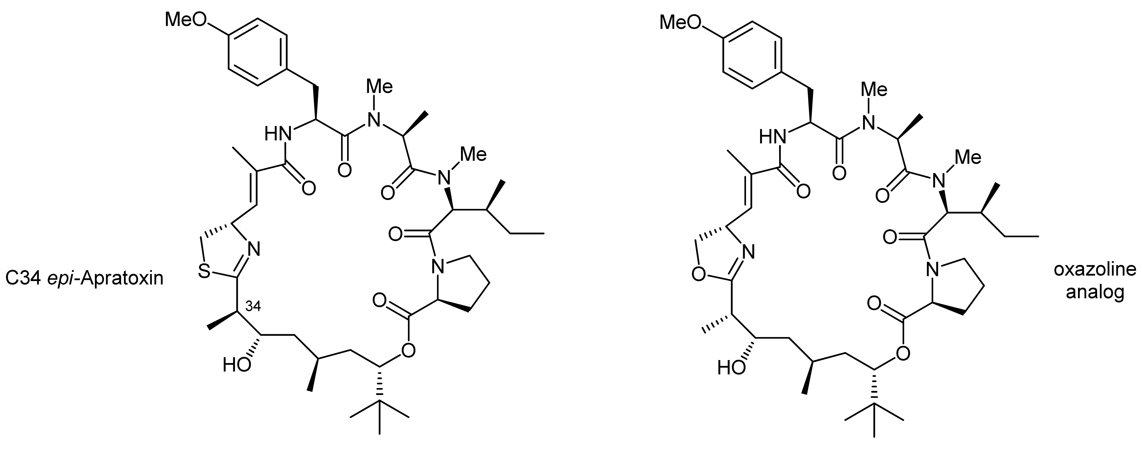 Molecules 18 01337 g001