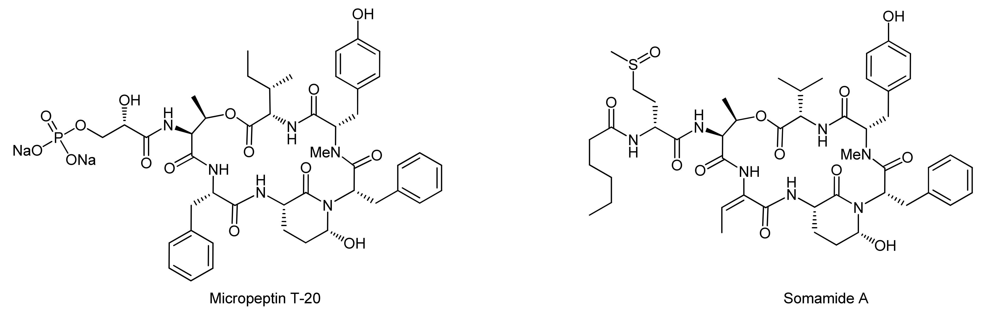 Molecules 18 01337 g004