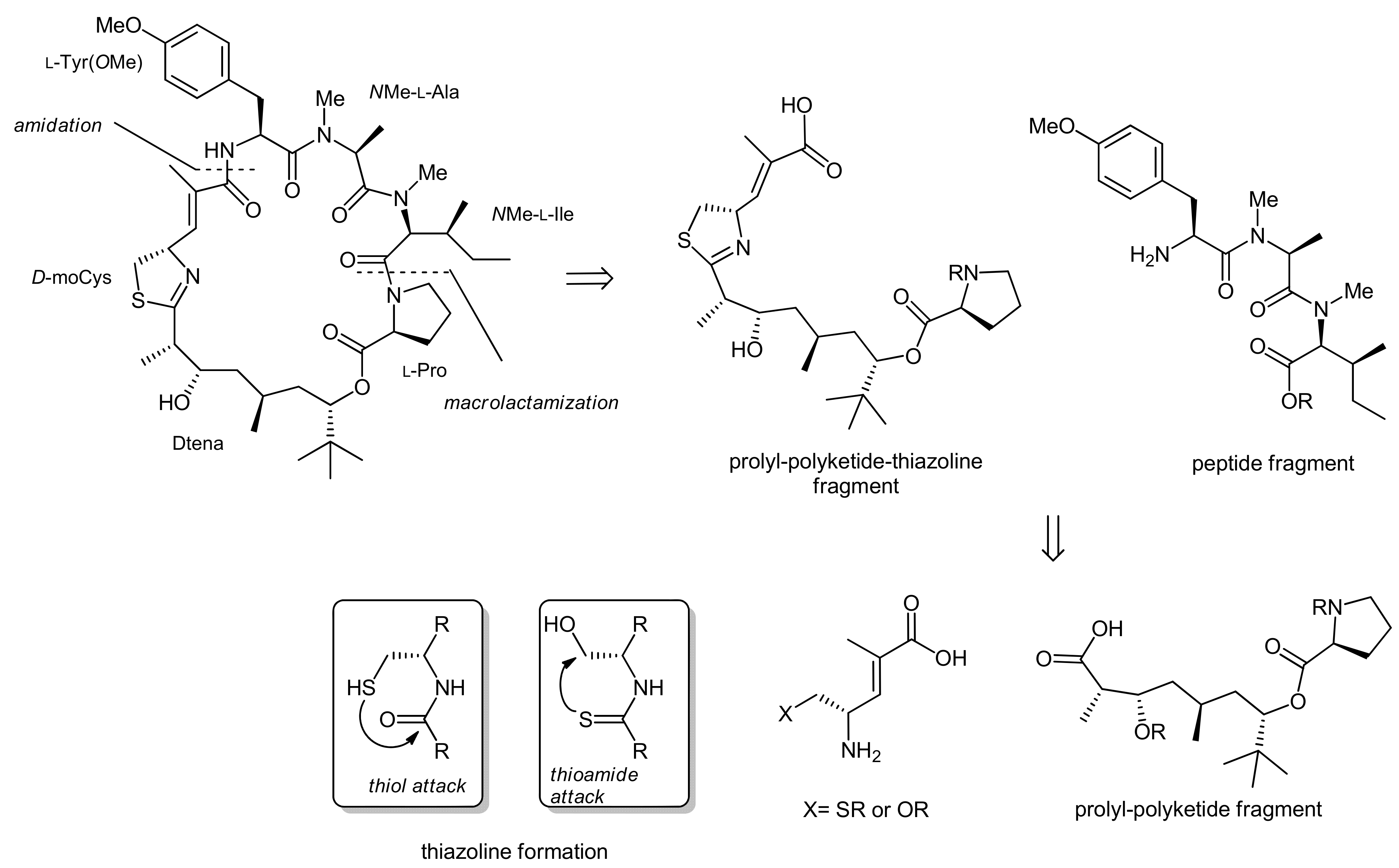Molecules 18 01337 sch004