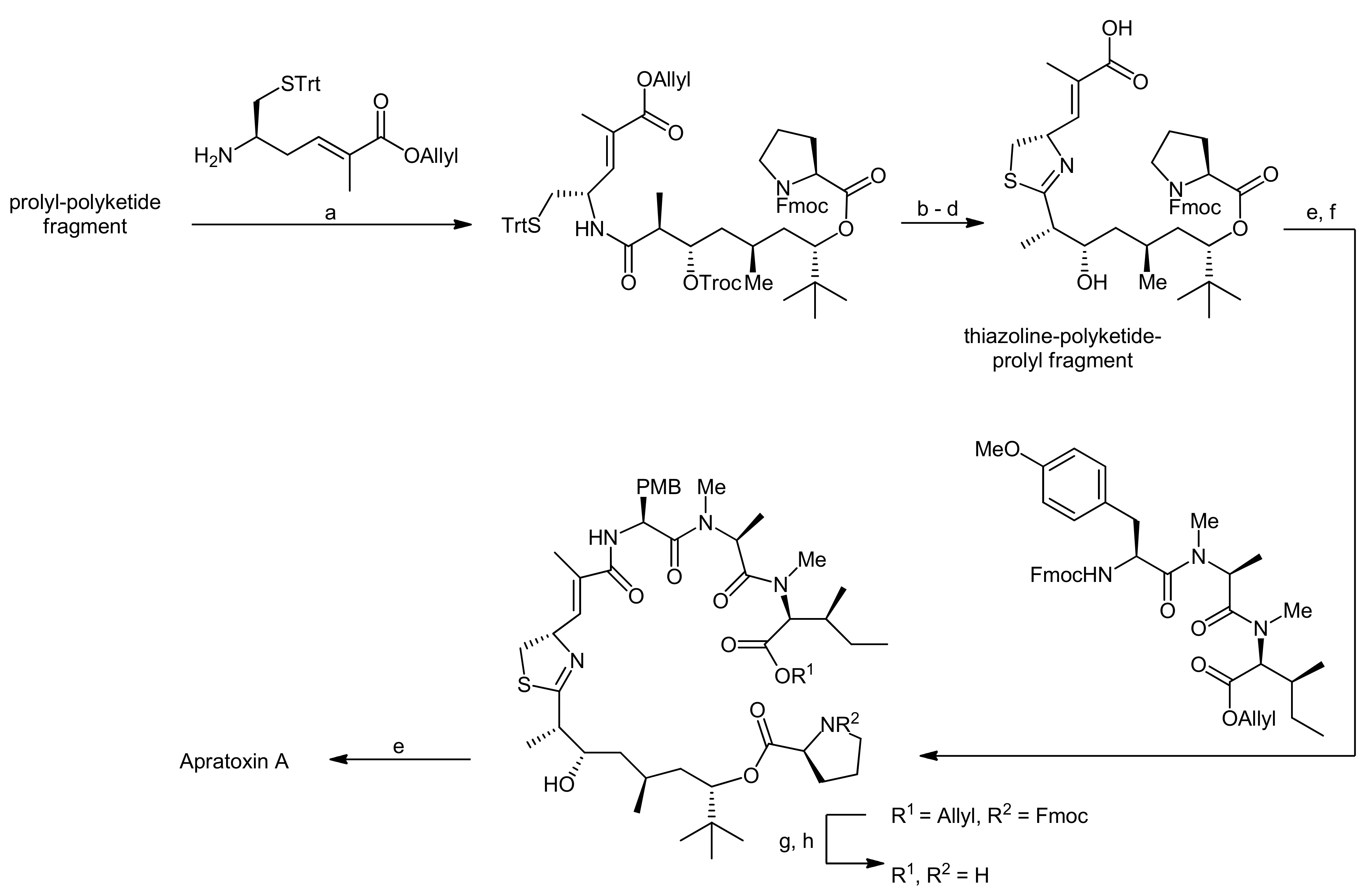 Molecules 18 01337 sch006