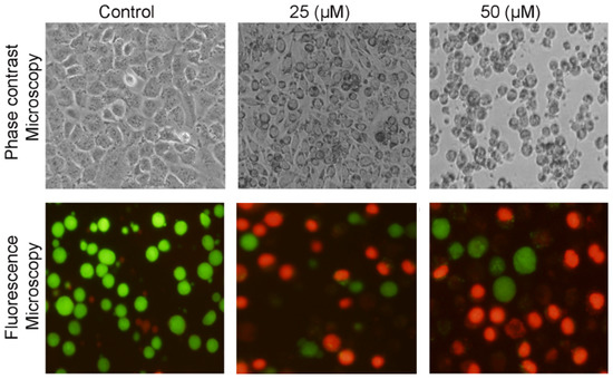 Molecules 18 01418 g003 550