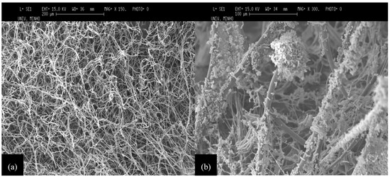 Molecules 18 01660 g003 550