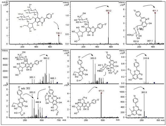 Molecules 18 01672 g004 550