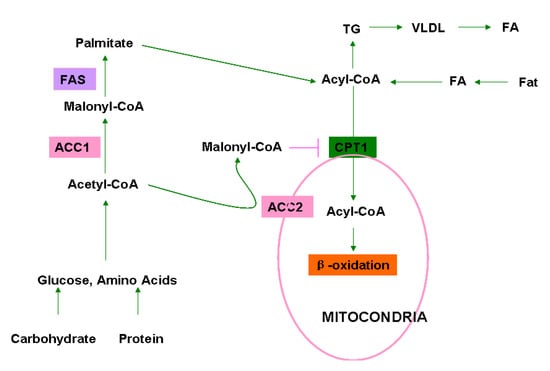Molecules 18 01704 g001 550