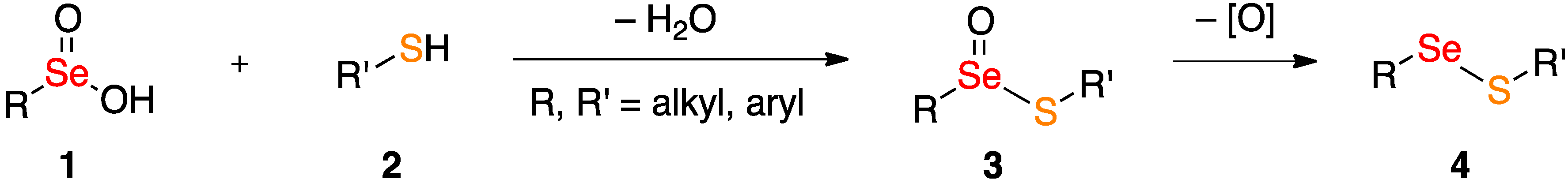 Molecules 18 01963 g001
