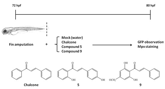 Molecules 18 02052 g002 550
