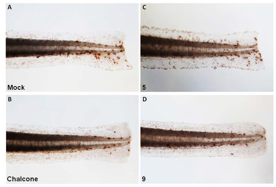 Molecules 18 02052 g005 550