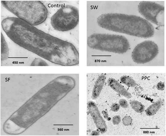 Molecules 18 02183 g005 550