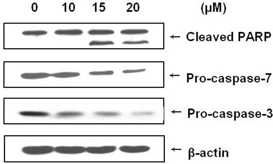 Molecules 18 02449 g004 550